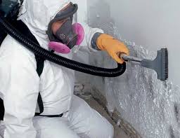 Why You Should Choose Our Mold Remediation Services in Fritz Creek, AK